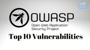 OWASP Top 10 Vulnerabilities