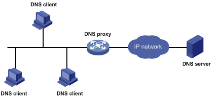 dns