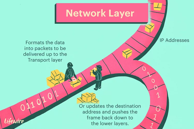 Network Layer