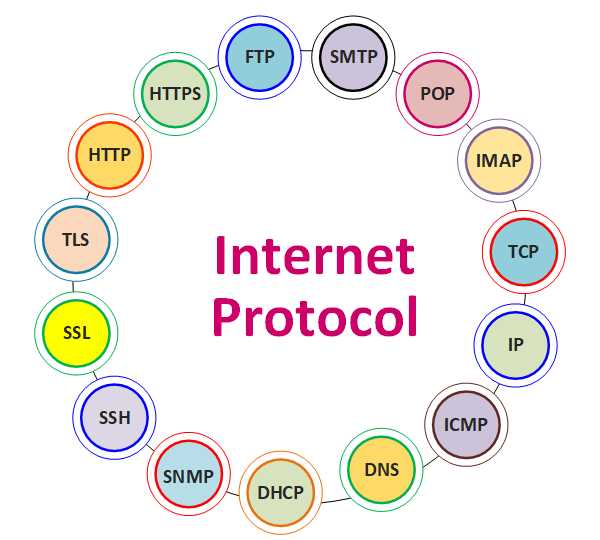 Protocol exam