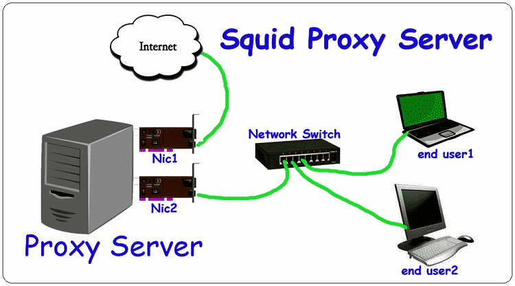 Squid Server